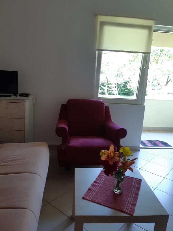Cvjetni Apartmani Cetinje Extérieur photo