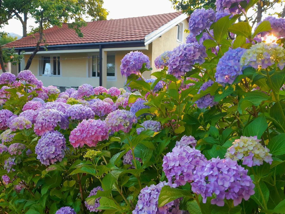 Cvjetni Apartmani Cetinje Extérieur photo