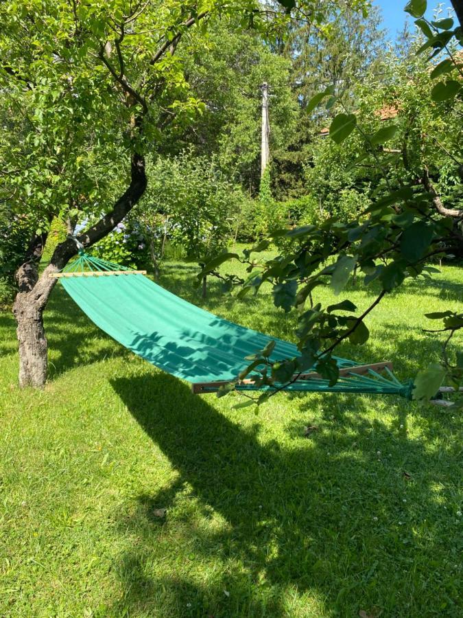 Cvjetni Apartmani Cetinje Extérieur photo