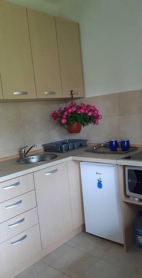 Cvjetni Apartmani Cetinje Extérieur photo